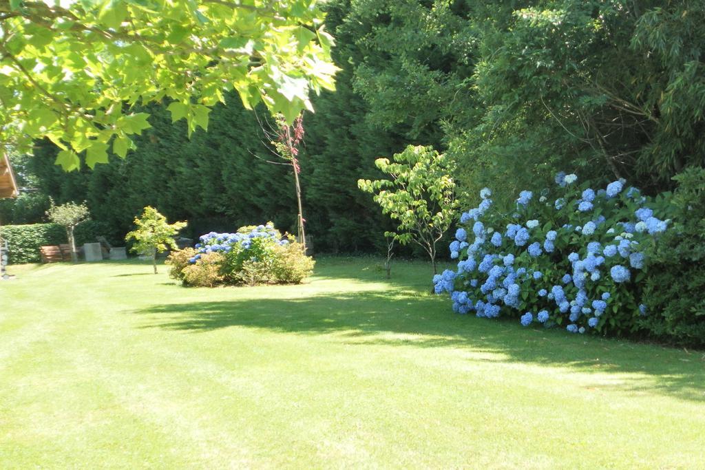 Les Volets Bleus Bed & Breakfast Арконг Екстериор снимка
